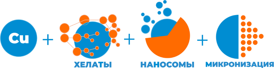 Иллюстрация действия КС-2