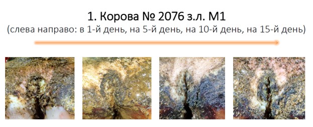 Динамика заживления, часть 1