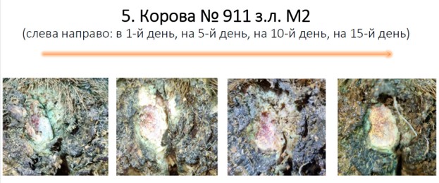 Динамика заживления, часть 2