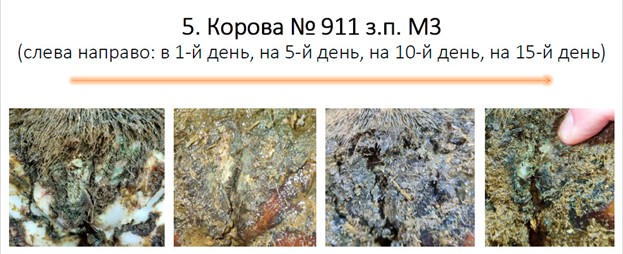 Динамика заживления, часть 3