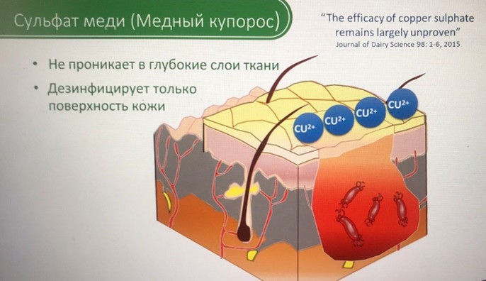 Иллюстрация реакции меди