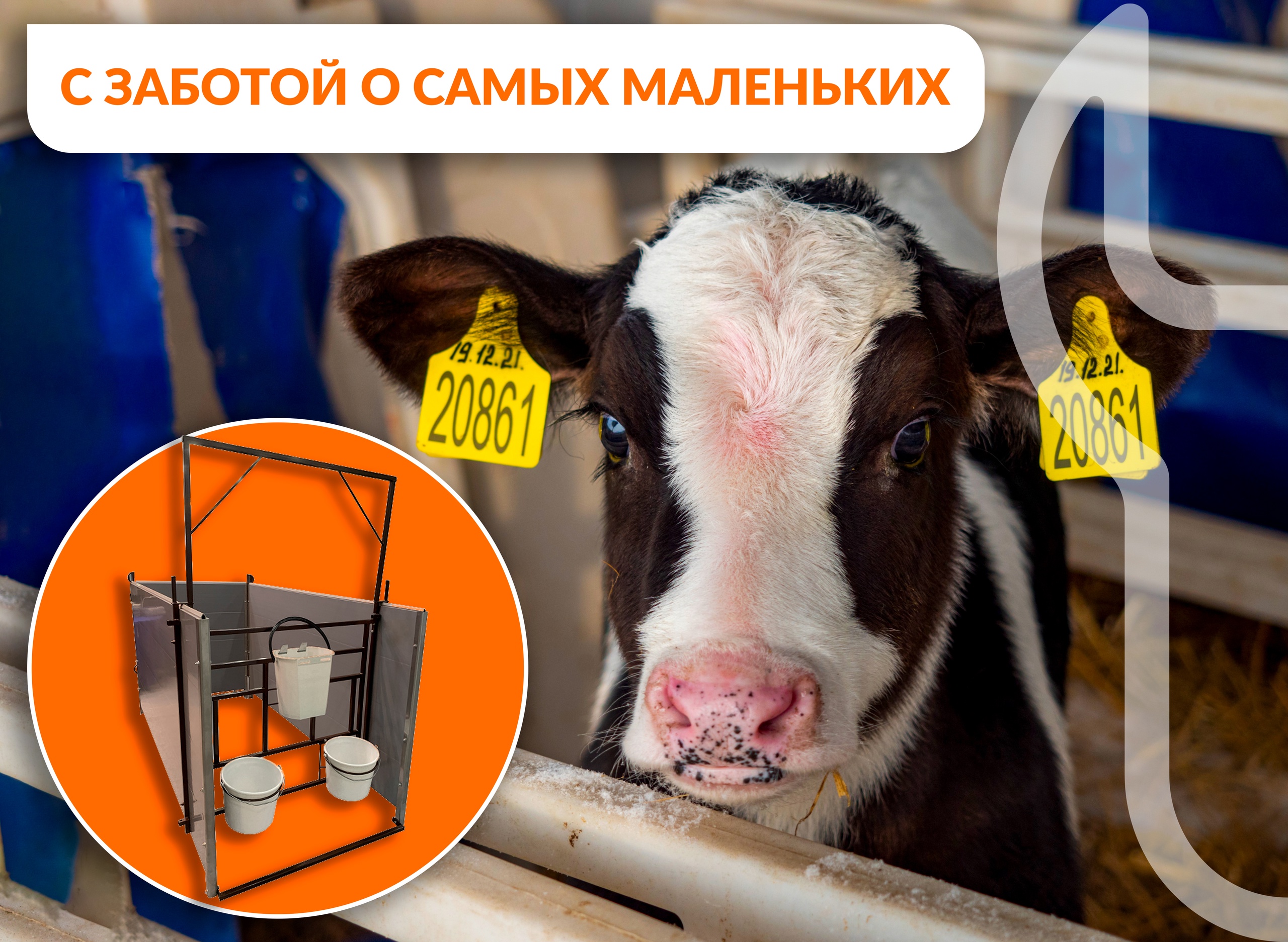 Новинка нашего ассортимента — боксы для телят