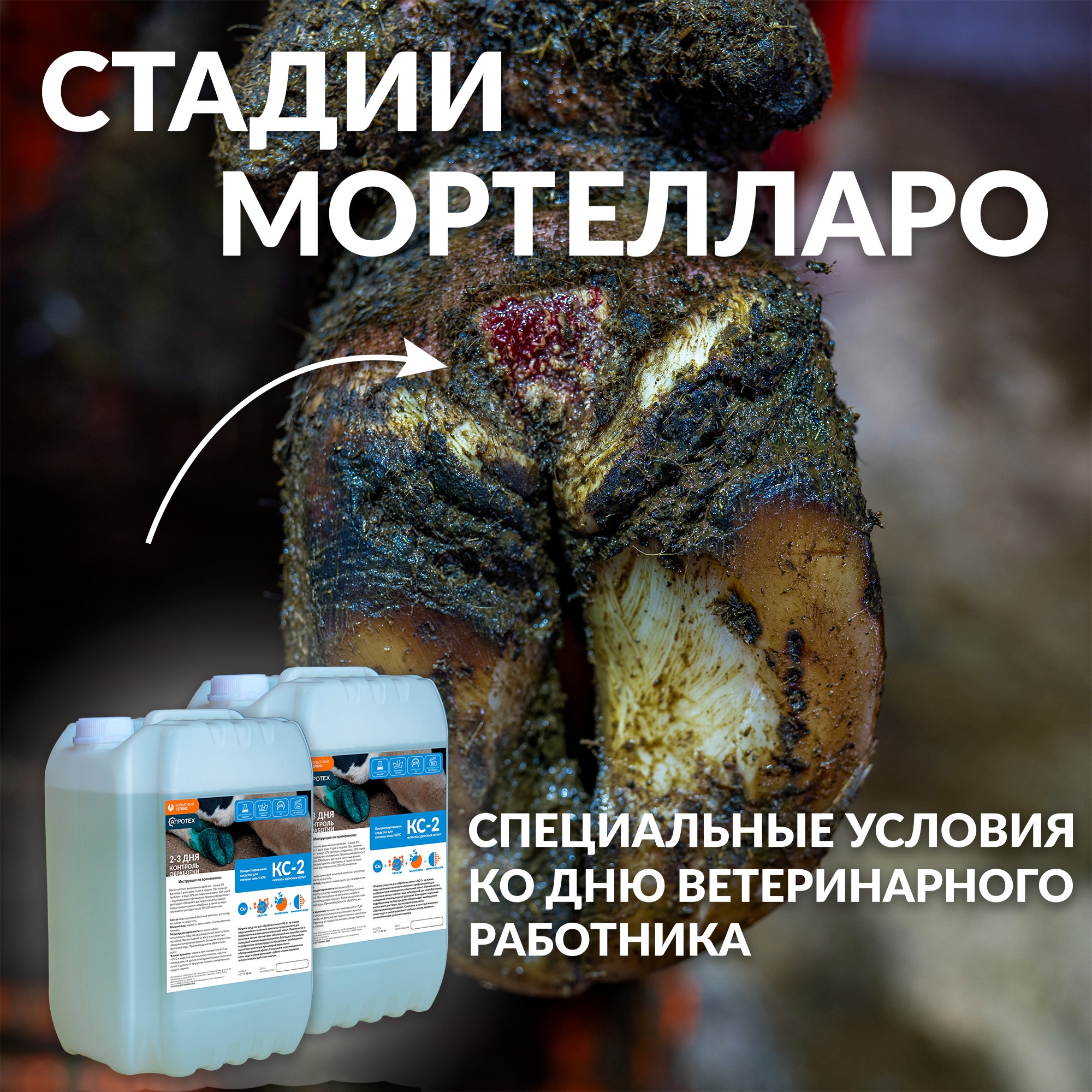 Скидка 15% на КС-2 до конца сентября!