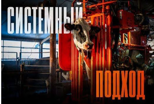ПОГОВОРИМ О ПЛАНАХ. РЕГУЛЯРНОСТИ. И КОПЫТАХ.